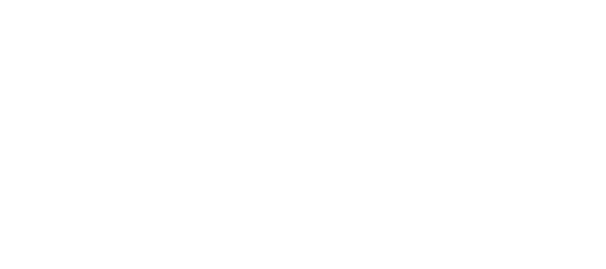 PACINI logo