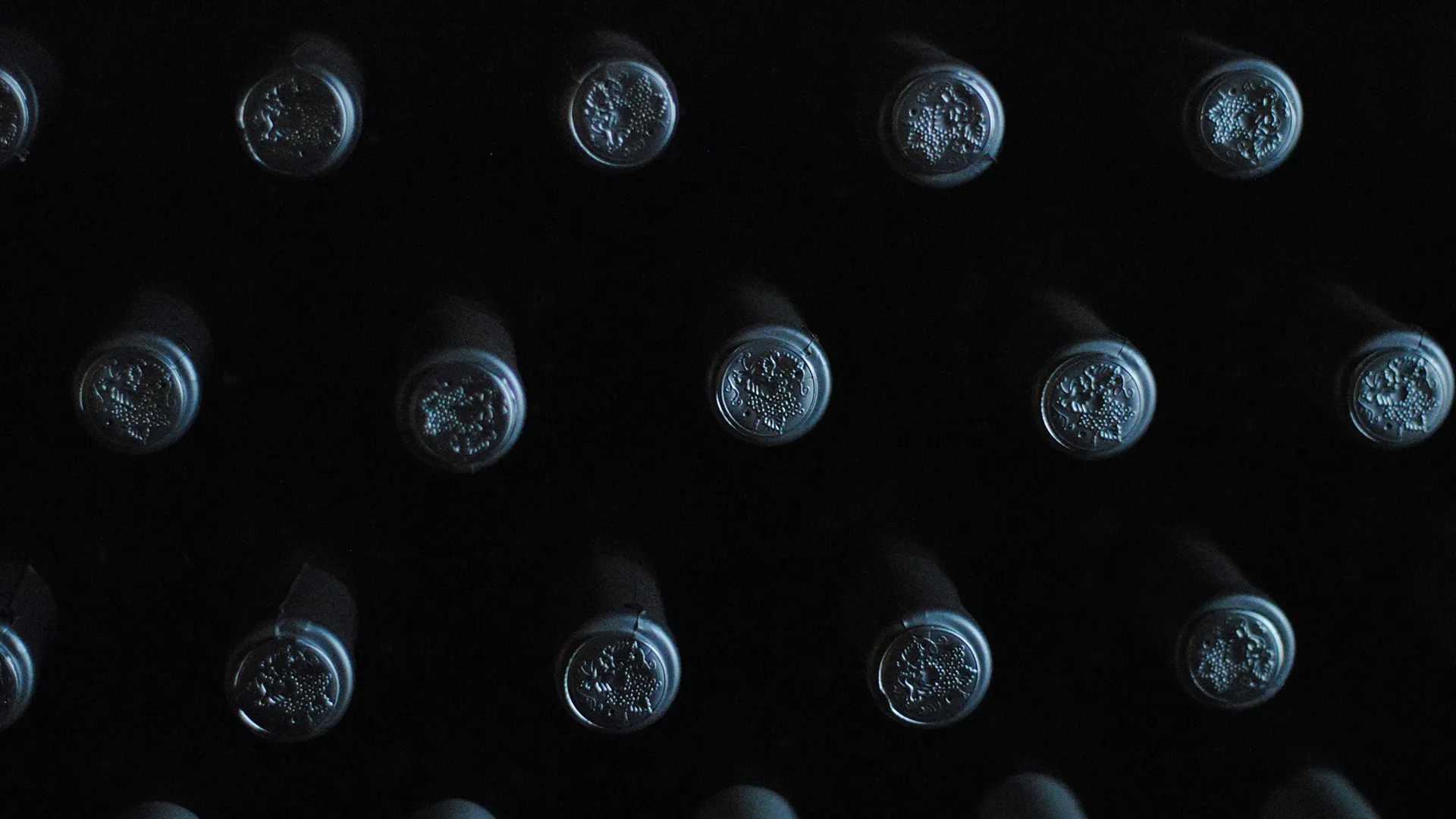 Verre d'Amarone, vin rouge puissant et complexe de la Vénétie chez PACINI