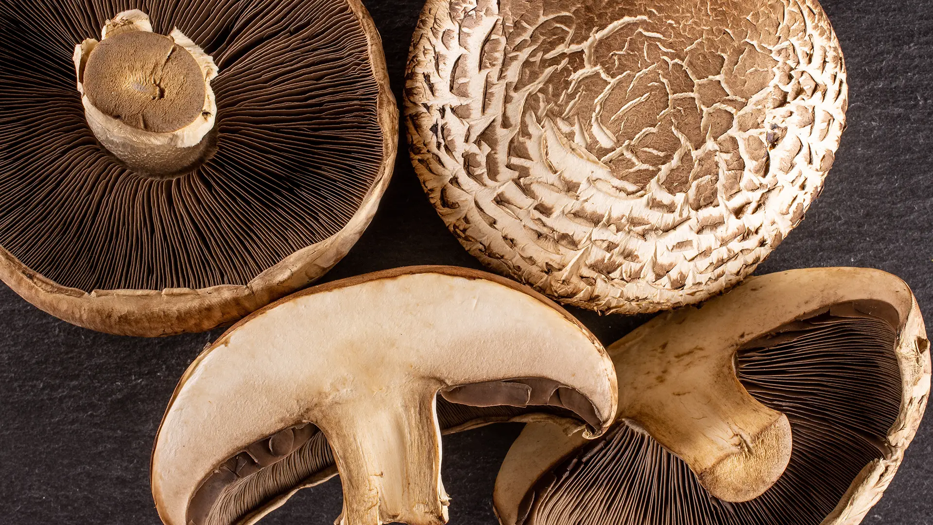 Champignon portobello PACINI à la chair ferme et savoureuse