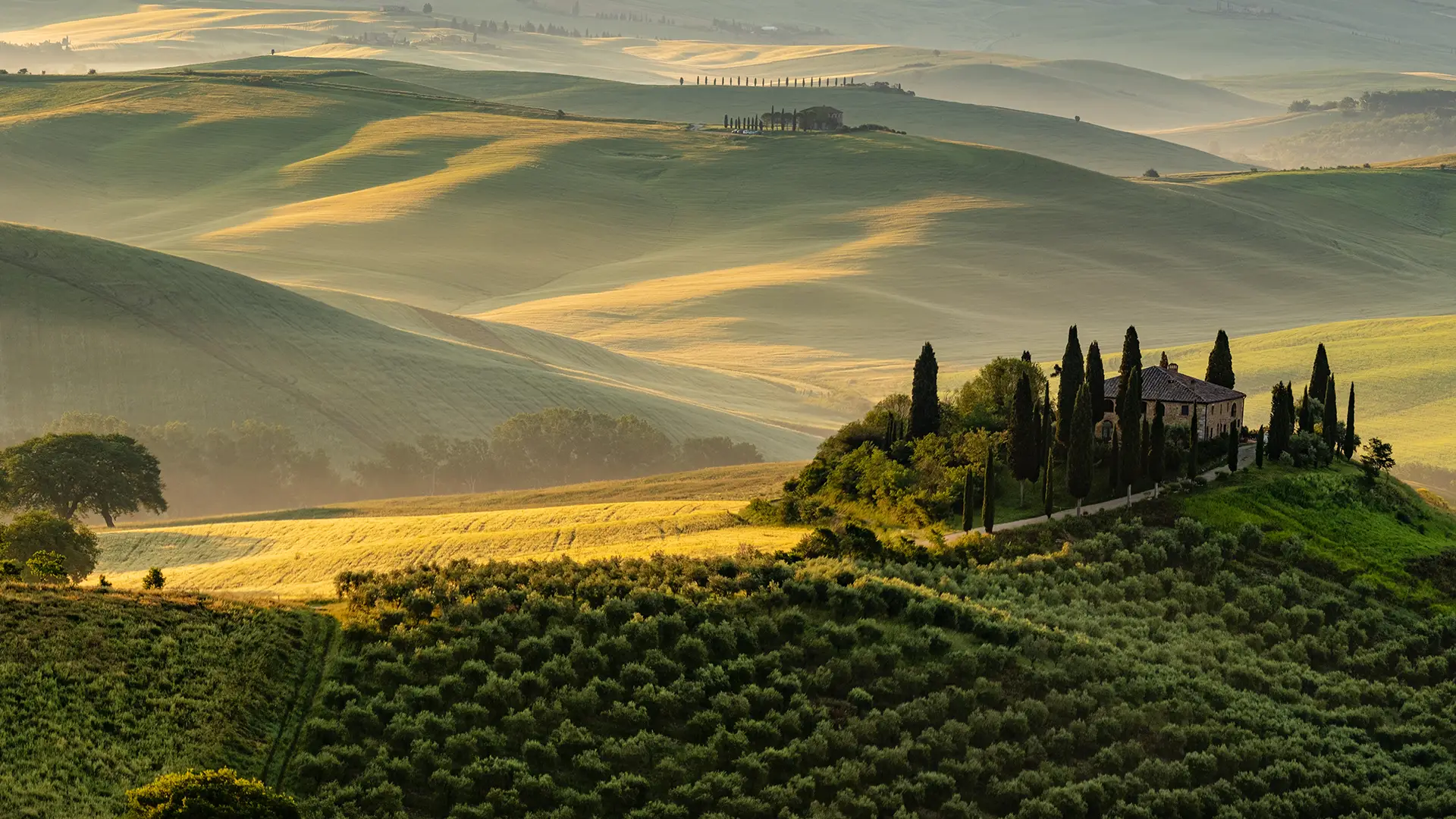 Paysage ou culture italienne qui inspire la cuisine authentique de PACINI
