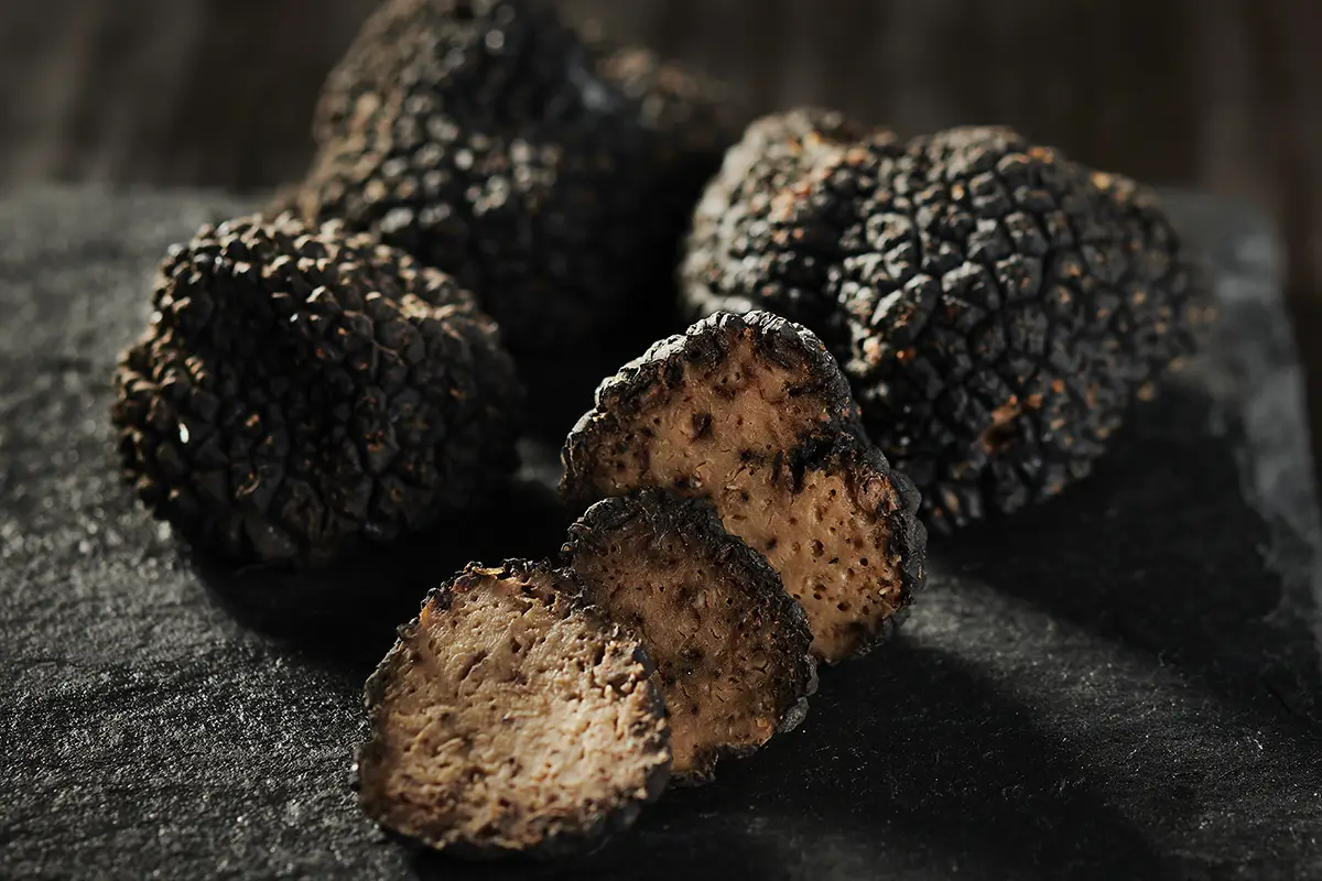Truffes italiennes PACINI, ingrédient gastronomique